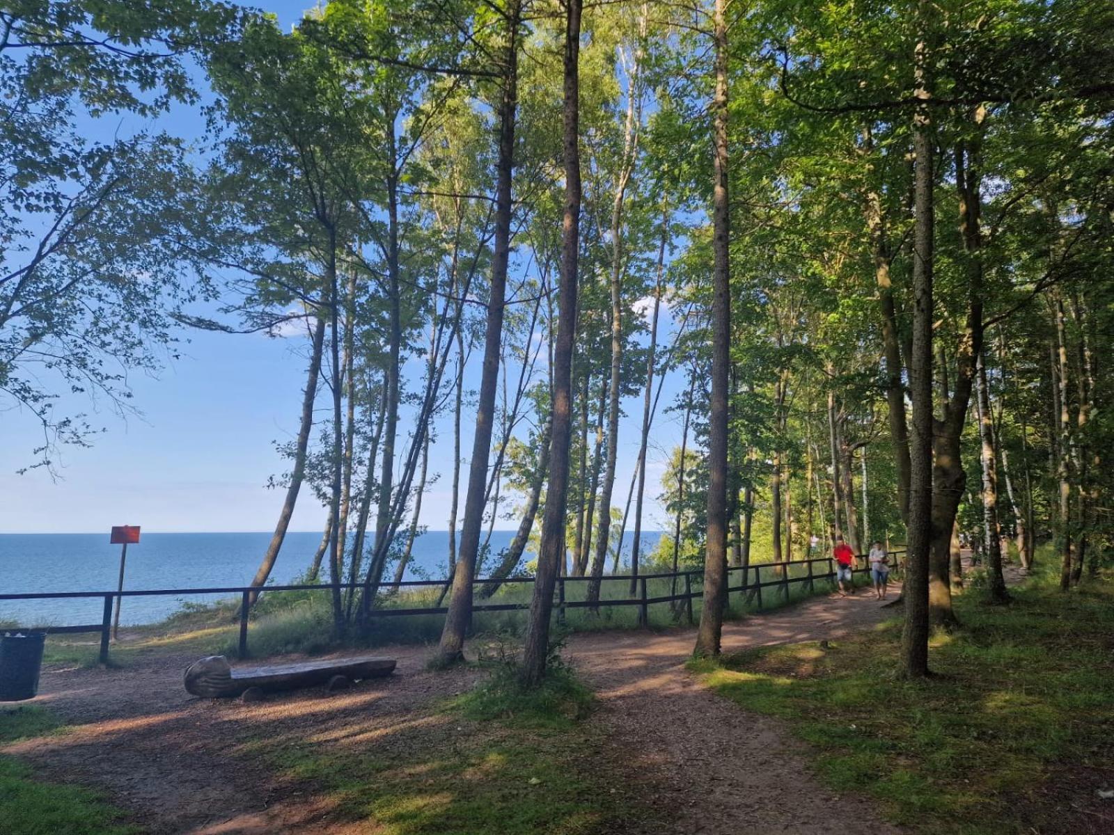 Osrodek Promenada- Domki Jastrzębia Góra Exterior foto