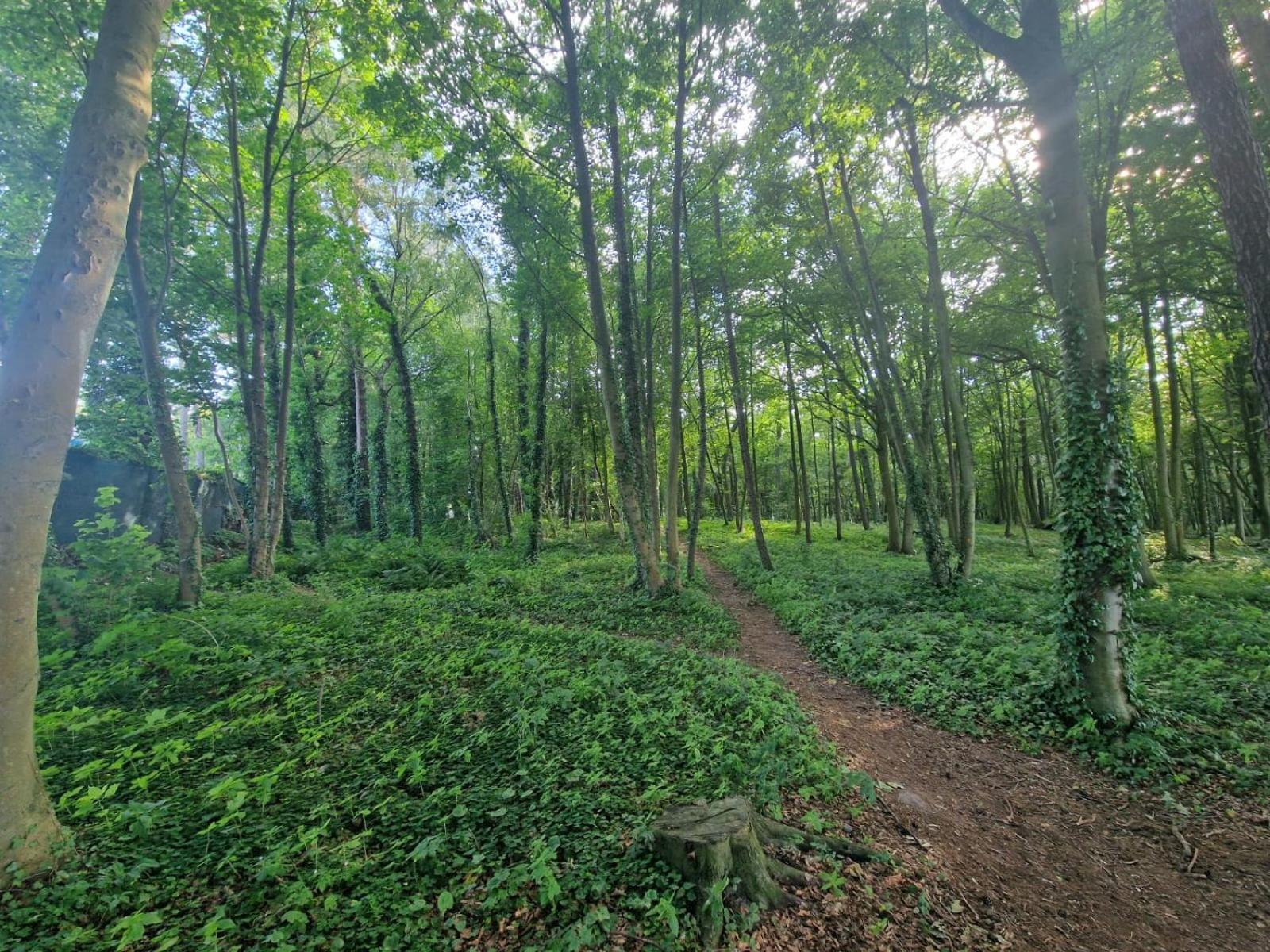 Osrodek Promenada- Domki Jastrzębia Góra Exterior foto